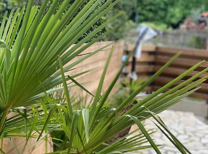 Apolina Малинска