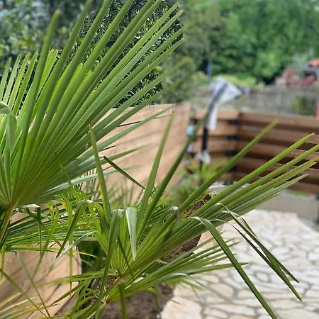 Apolina Малинска